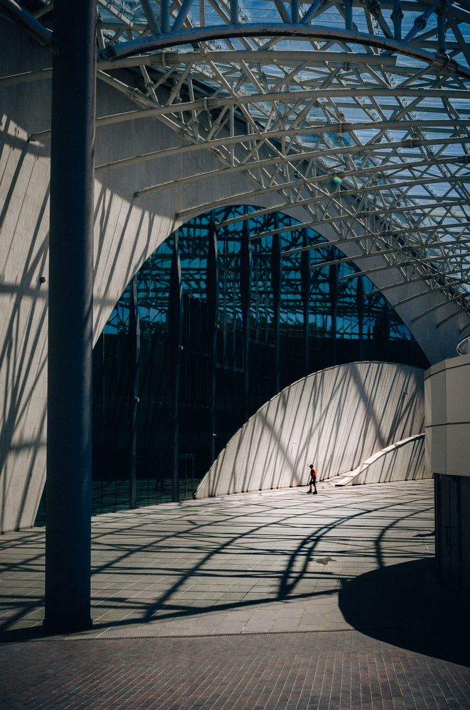 Бионика (элемент жизни)