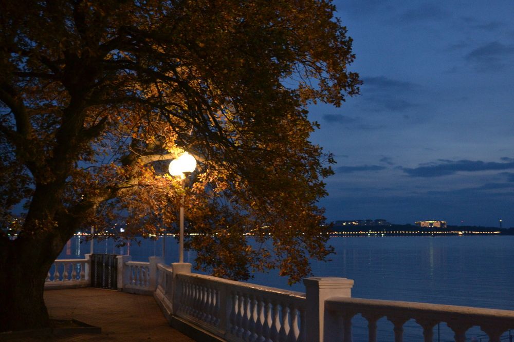 Photograph by Aleksey