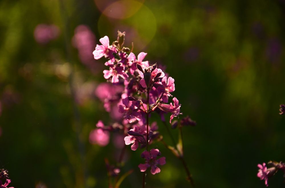 Photograph by Екатерина