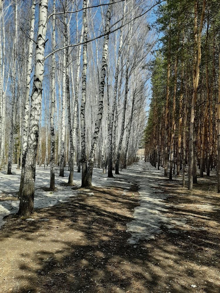 Photograph by Elena Goreva