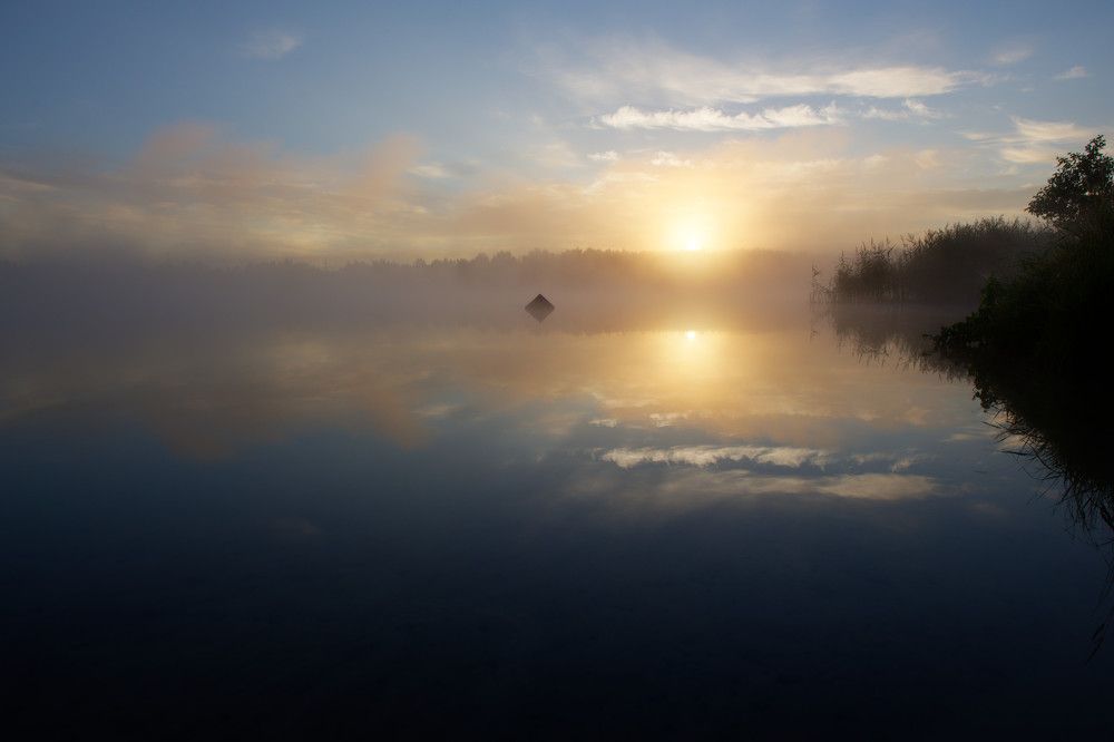 Фотография автора Григорьев Алексей