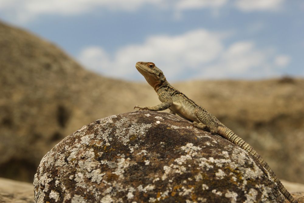 Photograph by Сергей Иванов