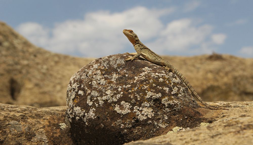 Photograph by Сергей Иванов