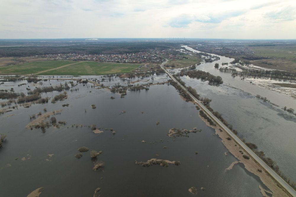 Фотография автора Елена Колосова
