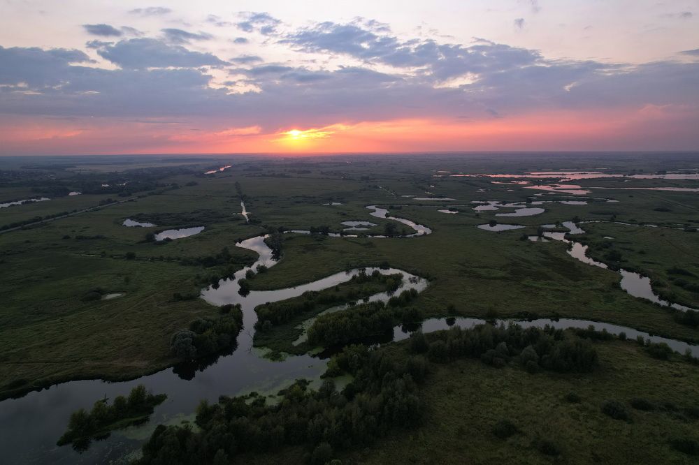 Фотография автора Елена Колосова