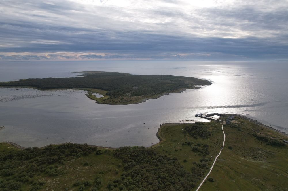 Фотография автора Елена Колосова