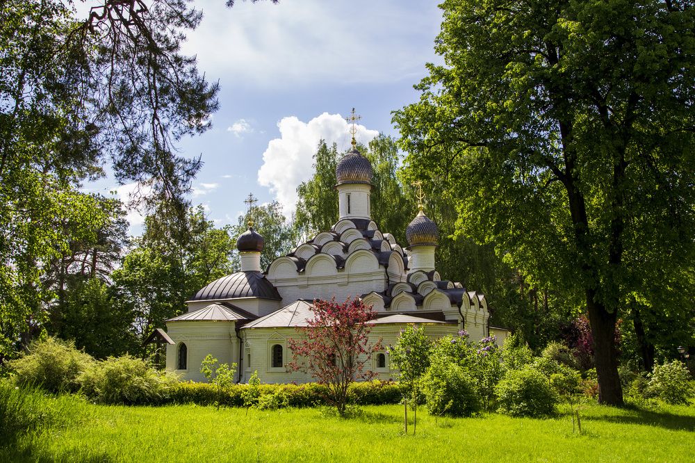 Солнечный день