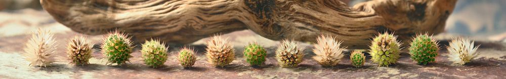 Photograph by Константин Мишнаевский