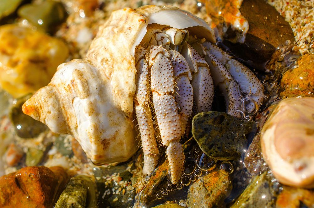 Photograph by Евгений Каримов