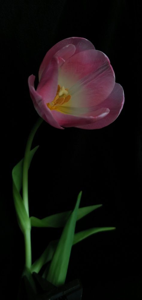 Photograph by Елена Акимова