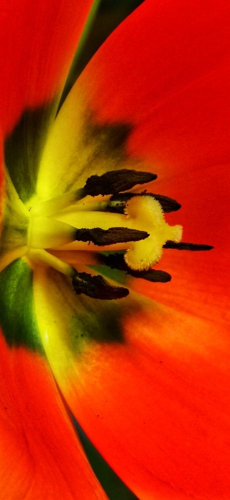 Photograph by Елена Акимова