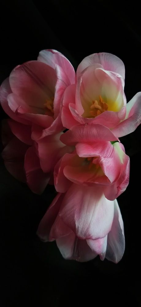 Photograph by Елена Акимова