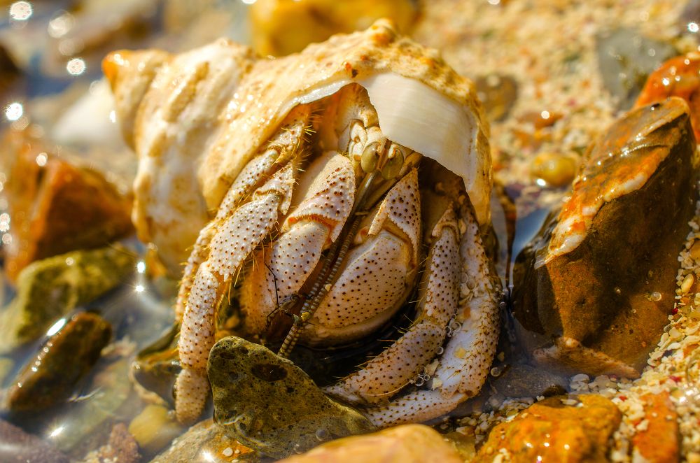 Photograph by Евгений Каримов