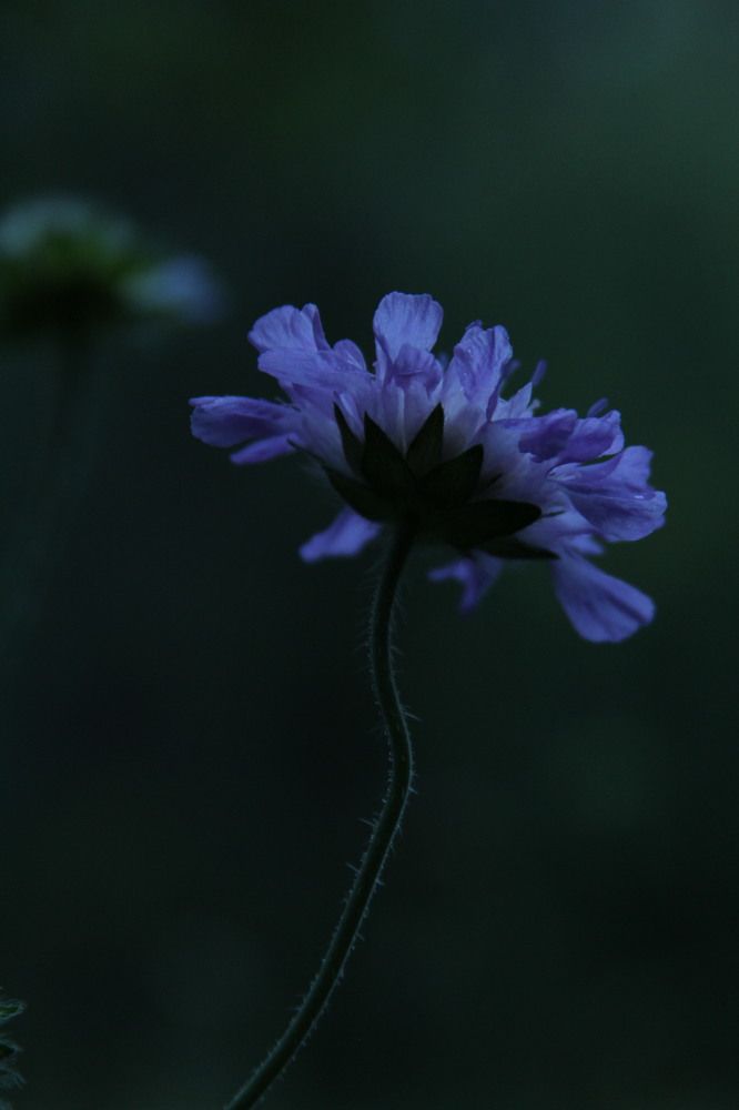 Photograph by Татьяна Гороховская