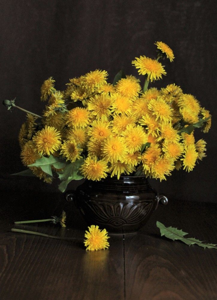 Photograph by Татьяна Гороховская