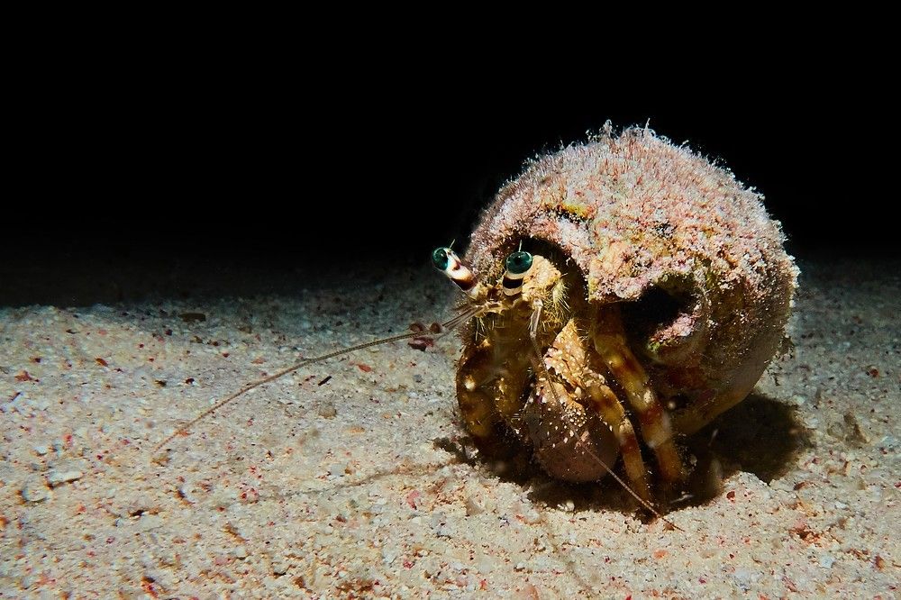 Photograph by Андрей Данильченко