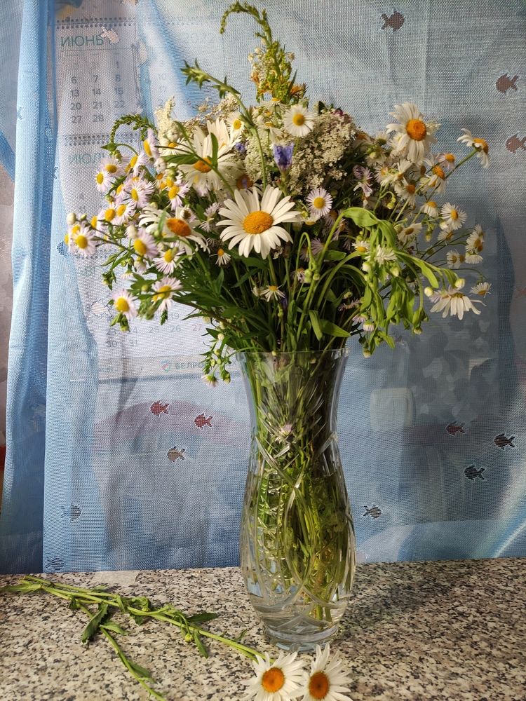 Photograph by Ирина Подлубная