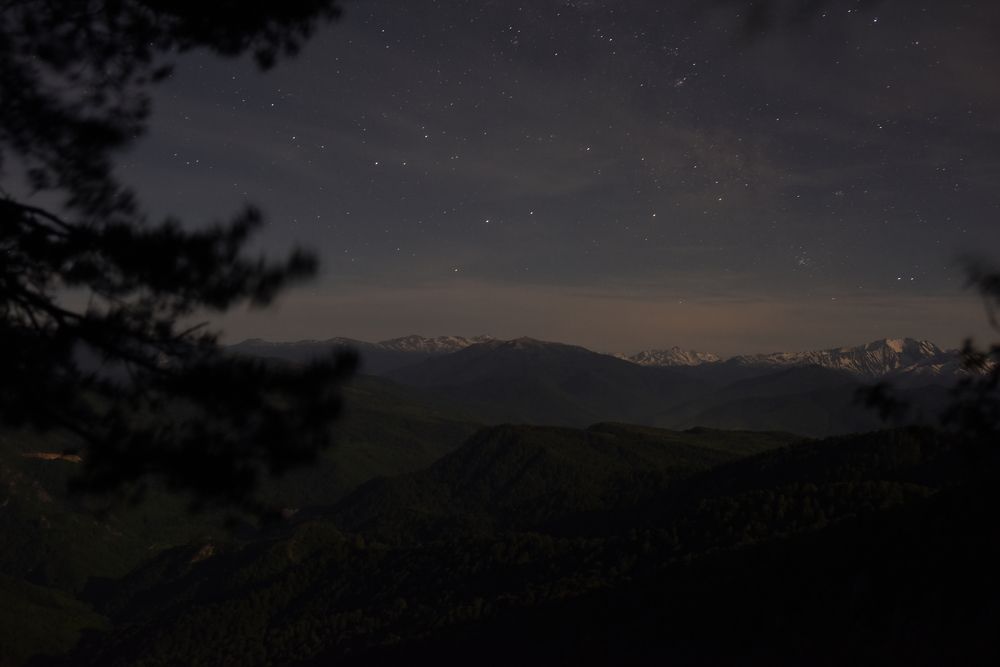 Фотография автора Медведев Сергей