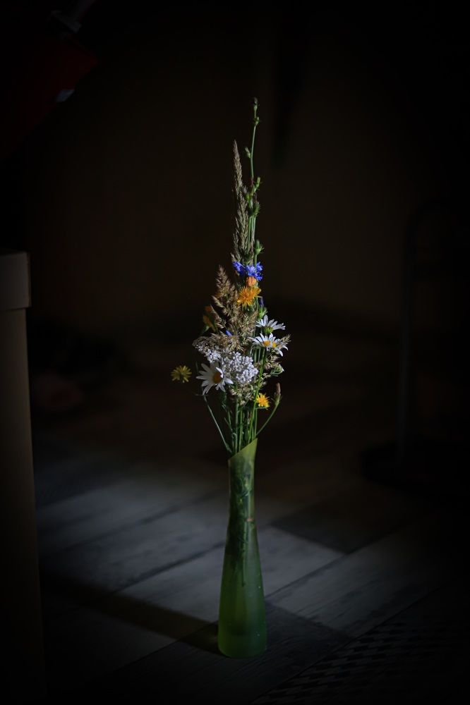 Photograph by Елена Лотник