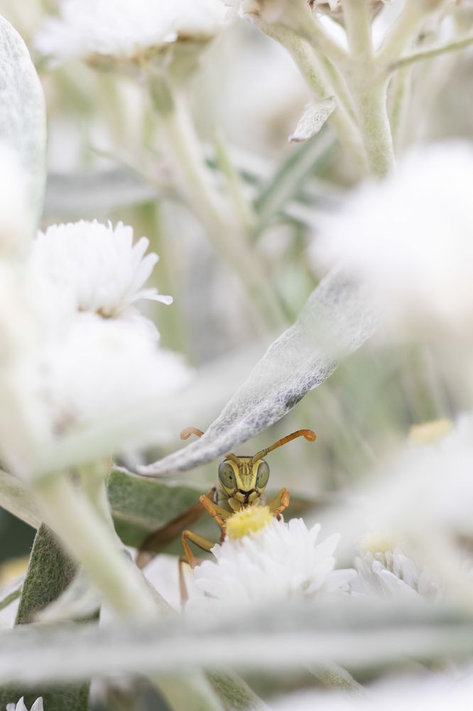 Photograph by Валерия Генрисова