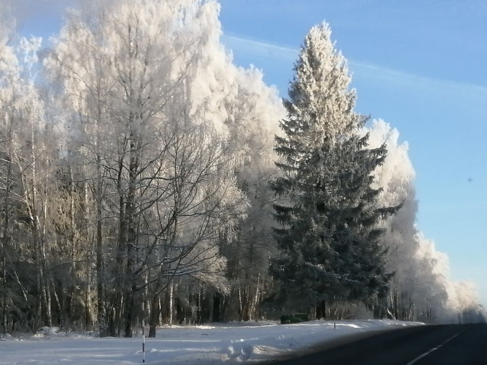 Photograph by Виталий Шумский