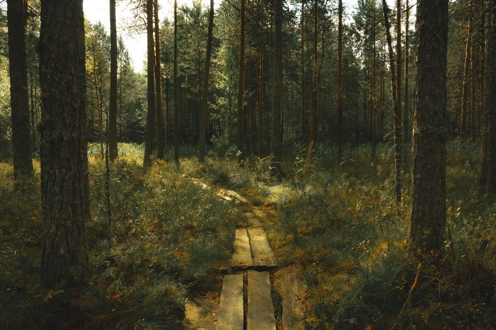 Photograph by Сергей Коршунов