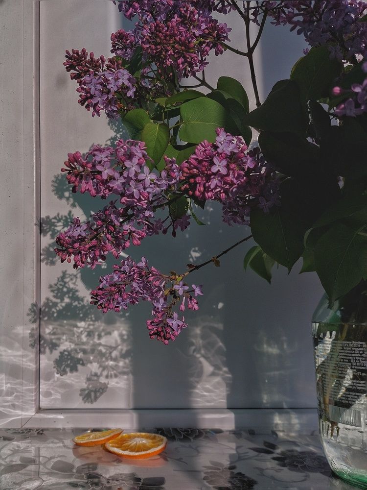 Photograph by Зульфия Вакилова