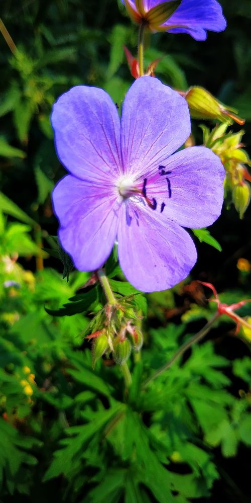 Photograph by Сергей Зиньковский