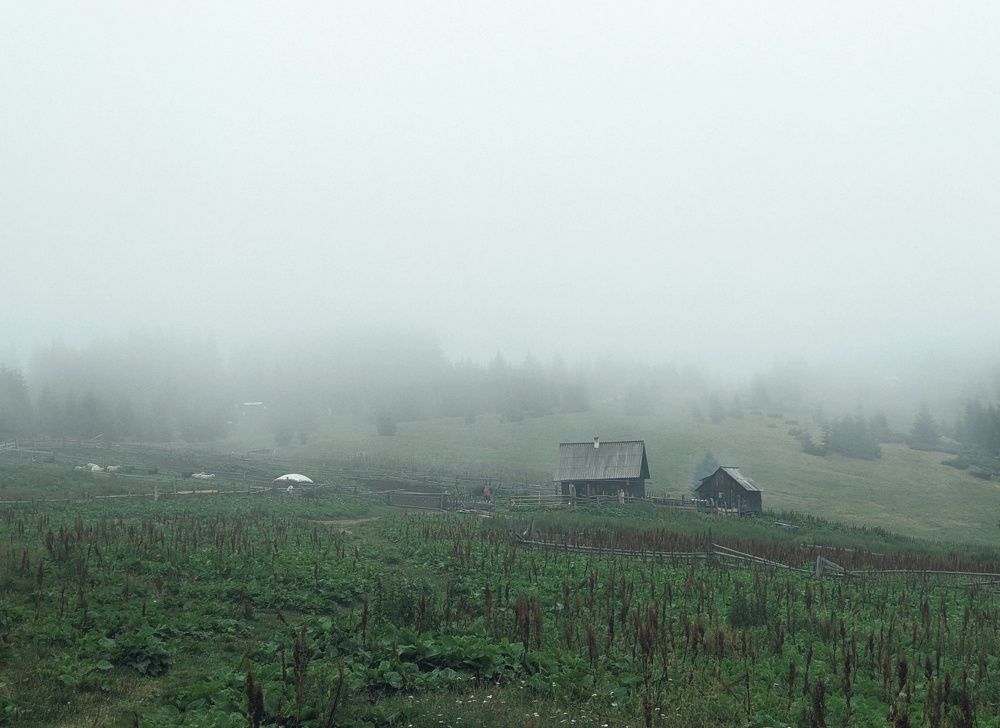 Photograph by Сергей Скарженюк