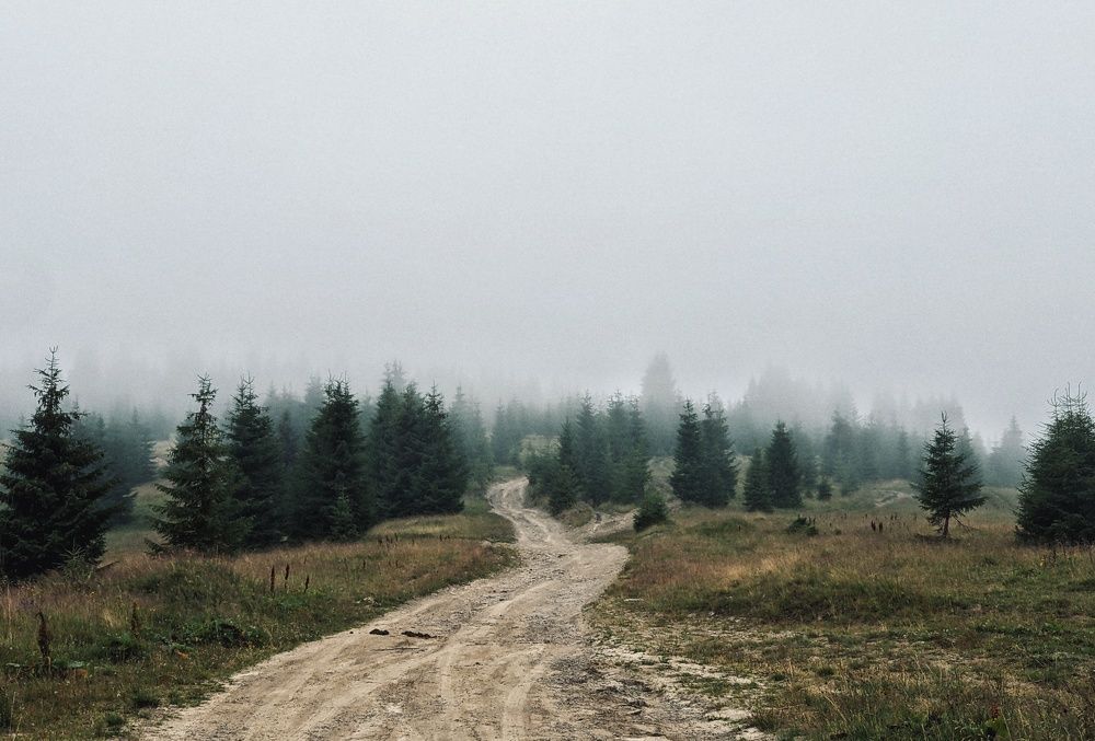 Photograph by Сергей Скарженюк