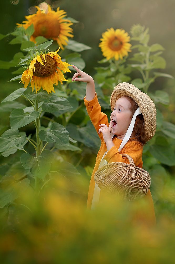 Photograph by Елена Шевчук