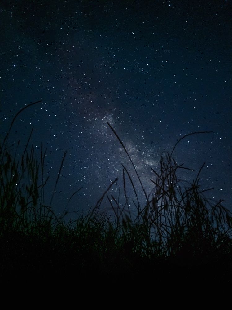 Photograph by Сергей Скарженюк