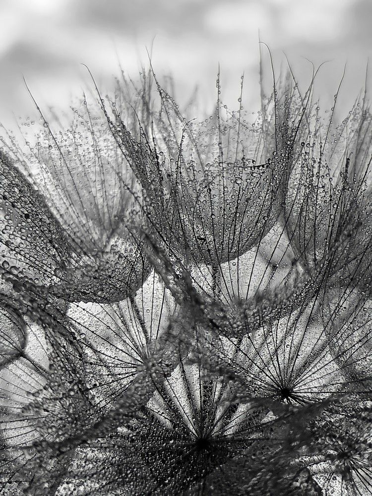 Photograph by Гельфман Галина