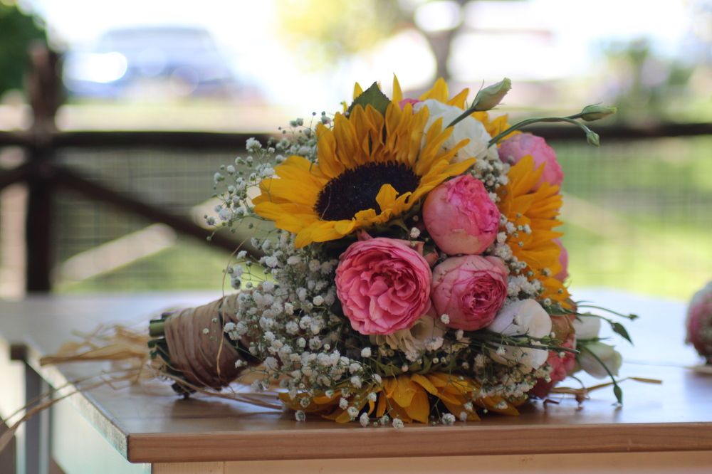 Photograph by Ferreira Francisco