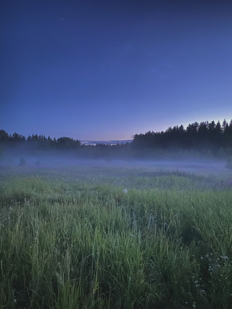 Photograph by Ирина Волгина