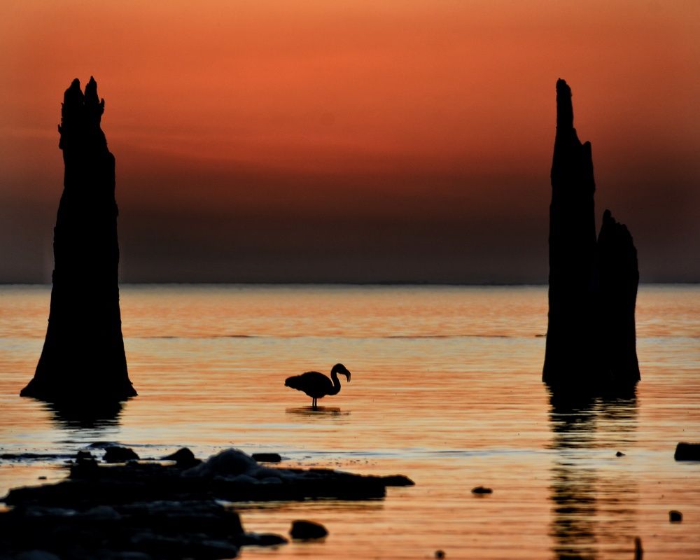 Photograph by VICKY Martinez