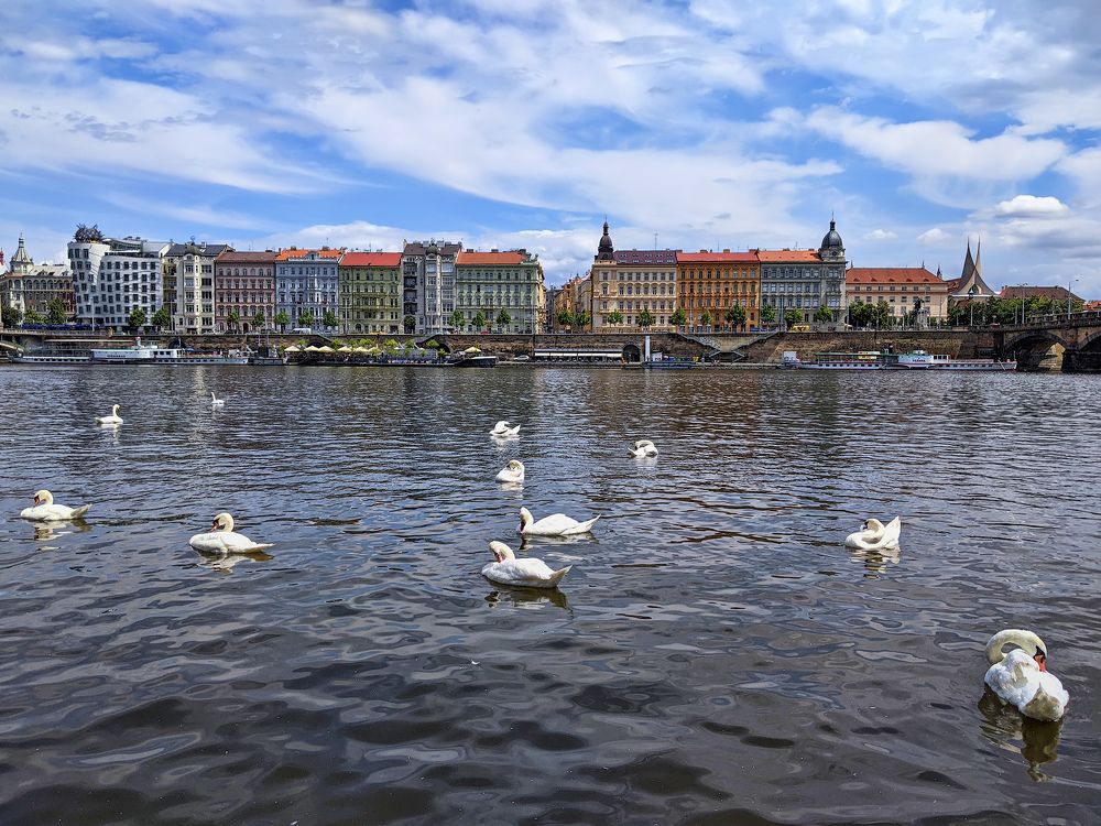 Лебединое царство