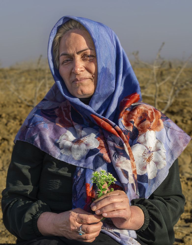 Фотография автора Morteza Sadeghi