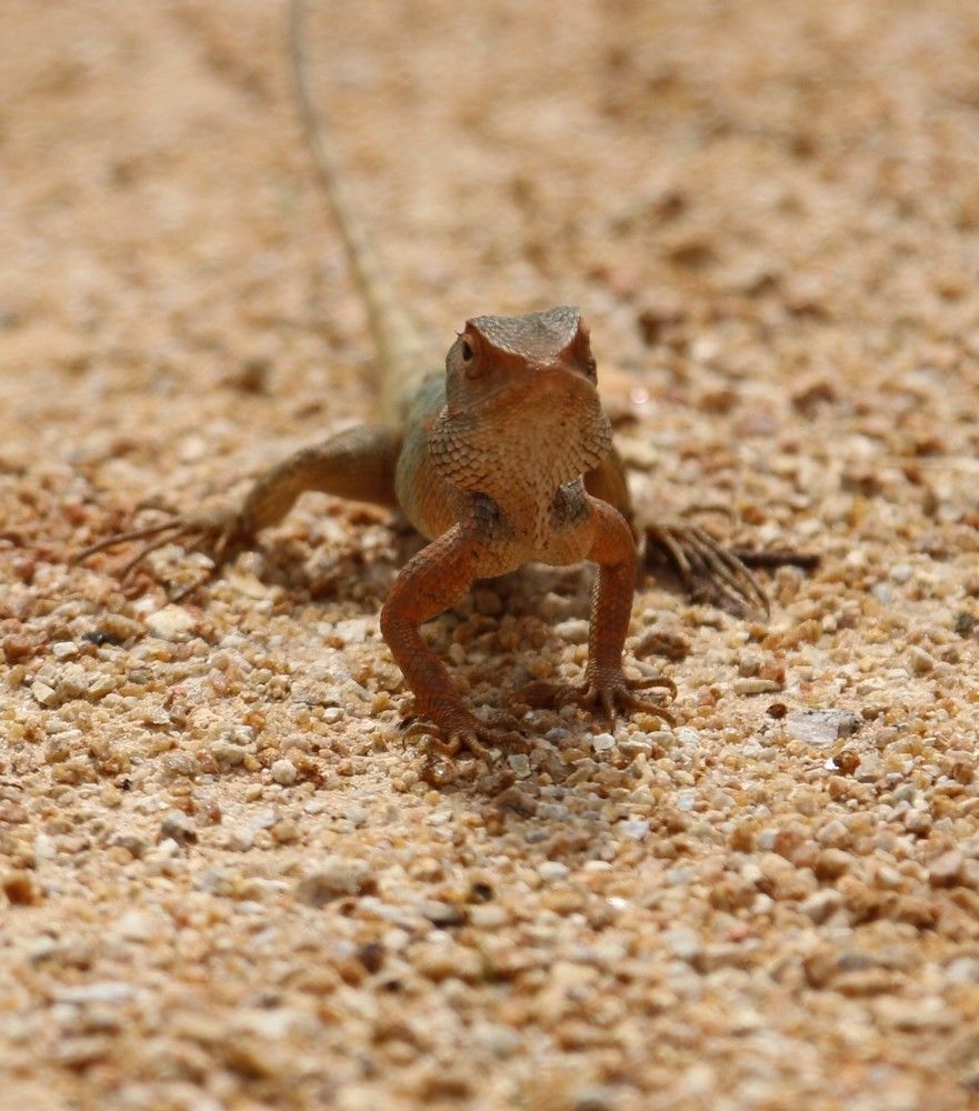 Photograph by VJ Photography