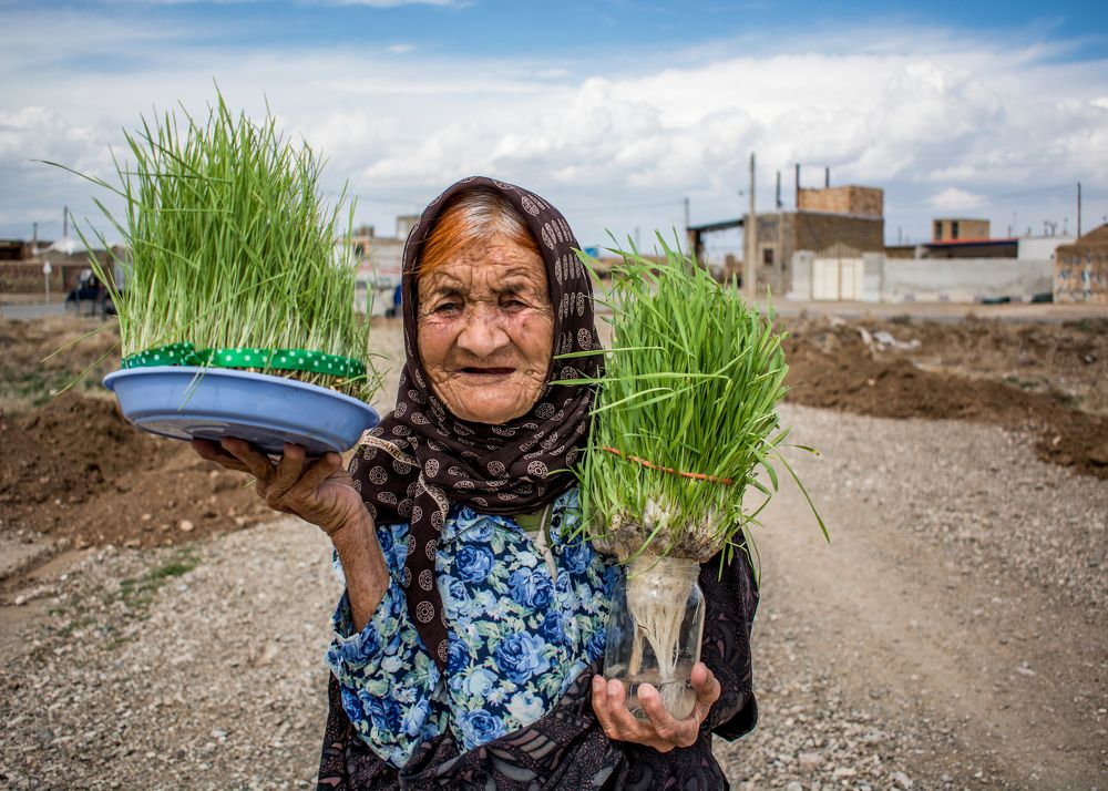Фотография автора Morteza Sadeghi