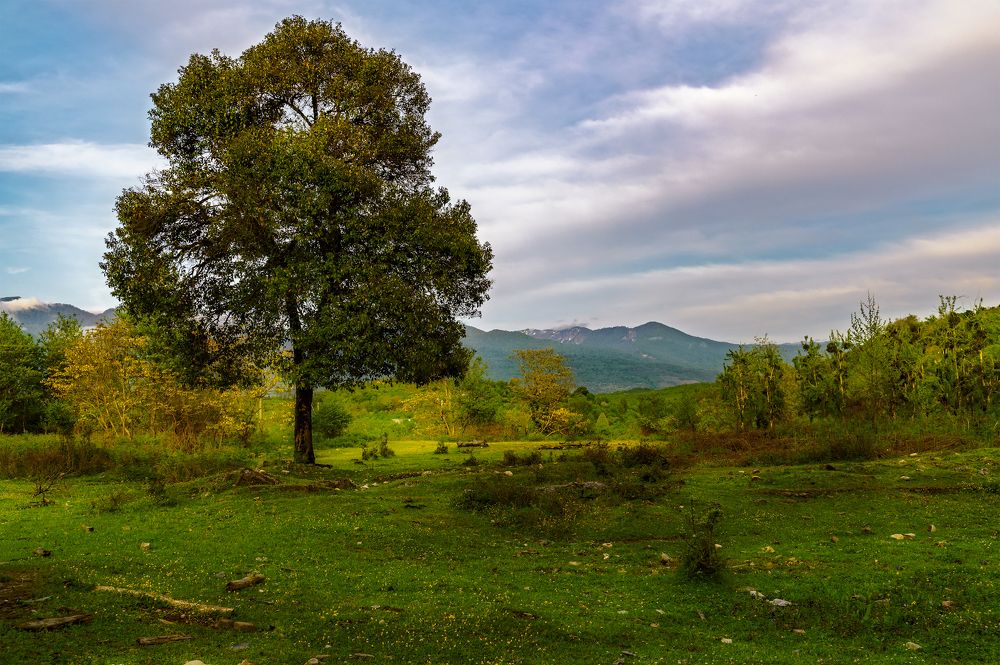 На исходе дня