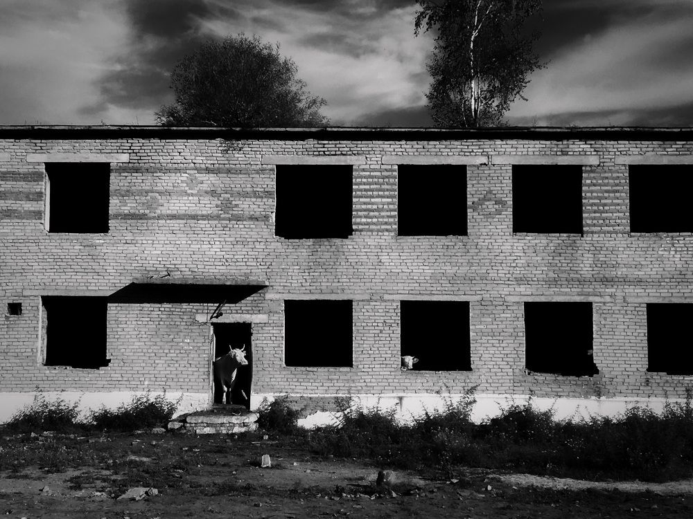 Photograph by Оюна Прокопьева