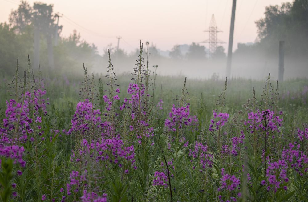 Photograph by Валерия Бебенина