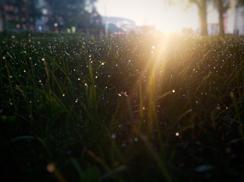 Photograph by Анна Вербилова