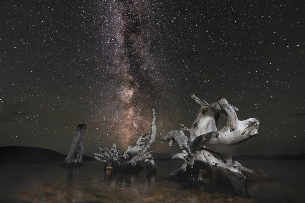 Photograph by Александр Ипполитов