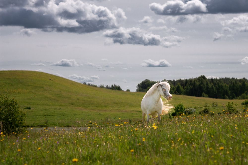 Photograph by Dace Spalviņa
