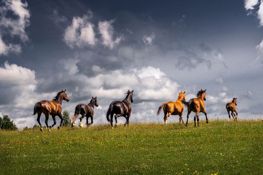 Photograph by Dace Spalviņa