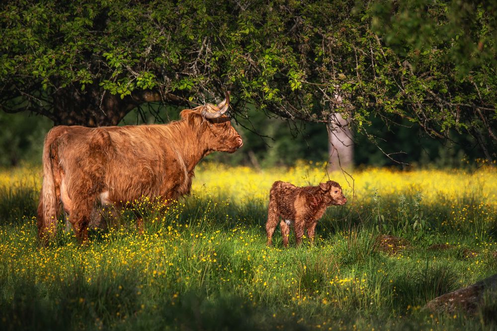 Photograph by Dace Spalviņa