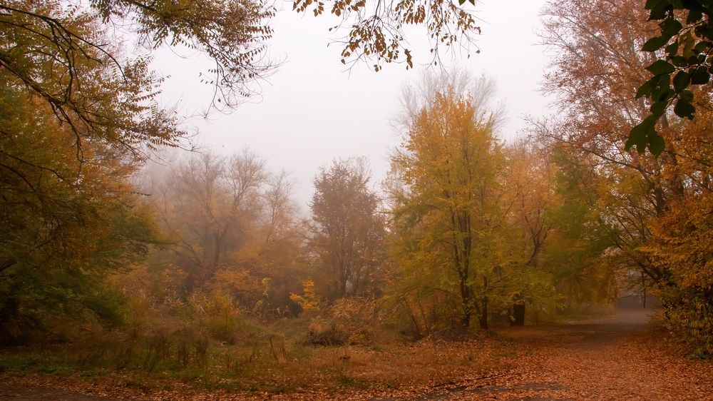 Photograph by Александр Мирошниченко