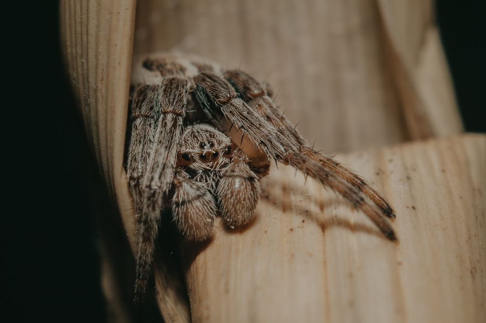 Photograph by Софья Лученкова